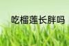 吃榴莲长胖吗 吃榴莲会不会长胖