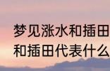 梦见涨水和插田有什么兆头 梦见涨水和插田代表什么