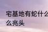 宅基地有蛇什么兆头 宅基地有蛇是什么兆头