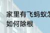 家里有飞蚂蚁怎么除根 家里有飞蚂蚁如何除根