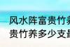 风水阵富贵竹养几支最旺运 风水阵富贵竹养多少支最旺运