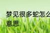 梦见很多蛇怎么回事 梦见很多蛇怎么意思