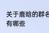 关于鹿晗的群名称 关于鹿晗的群名称有哪些