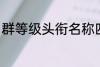 群等级头衔名称四个字 群名称有哪些