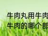 牛肉丸用牛肉的什么部分做 牛肉丸用牛肉的哪个部分做