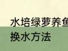 水培绿萝养鱼怎么换水 水培绿萝养鱼换水方法
