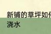 新铺的草坪如何浇水 新铺的草坪怎么浇水