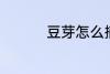 豆芽怎么摘 豆芽的洗法