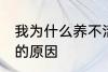 我为什么养不活杜鹃花 养不活杜鹃花的原因