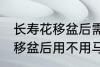 长寿花移盆后需要立刻浇水吗 长寿花移盆后用不用马上浇水