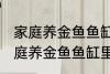 家庭养金鱼鱼缸里放什么水草好呢 家庭养金鱼鱼缸里放哪种水草好呢