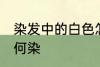 染发中的白色怎么染 染发中的白色如何染