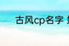 古风cp名字 好听的古风cp名字