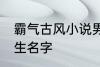 霸气古风小说男主名字 古风儒雅的男生名字