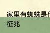 家里有蜘蛛是什么征兆 家里有蜘蛛的征兆