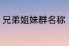 兄弟姐妹群名称 兄弟姐妹群名称推荐