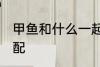 甲鱼和什么一起煲汤好喝 甲鱼煲汤搭配