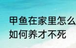 甲鱼在家里怎么养才不死 甲鱼在家里如何养才不死