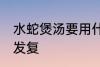 水蛇煲汤要用什么材料煲好 水蛇煲汤发复