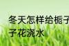 冬天怎样给栀子花浇水 冬天如何给栀子花浇水