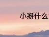 小掰什么意思 小掰的意思