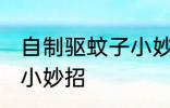 自制驱蚊子小妙招 自制驱蚊子的几个小妙招