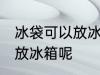 冰袋可以放冰箱冷冻吗 冰袋适不适合放冰箱呢