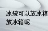 冰袋可以放冰箱冷冻吗 冰袋适不适合放冰箱呢
