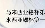 马来西亚锡杯第一次使用如何清洗 马来西亚锡杯第一次使用怎么清洗