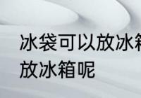 冰袋可以放冰箱冷冻吗 冰袋适不适合放冰箱呢