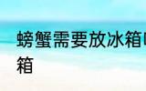 螃蟹需要放冰箱吗 螃蟹需不需要放冰箱