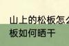 山上的松板怎么样能晒干了 山上的松板如何晒干