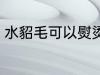 水貂毛可以熨烫吗 水貂毛能不能熨烫