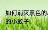如何消灭黑色的小蚊子 怎么消灭黑色的小蚊子