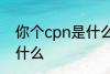 你个cpn是什么意思 你个cpn意思是什么