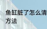 鱼缸脏了怎么清洗啊 鱼缸脏了的清洗方法