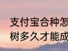支付宝合种怎么才算成功 支付宝合种树多久才能成功