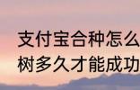 支付宝合种怎么才算成功 支付宝合种树多久才能成功