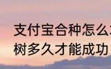 支付宝合种怎么才算成功 支付宝合种树多久才能成功