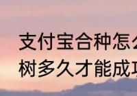 支付宝合种怎么才算成功 支付宝合种树多久才能成功