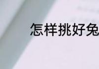 怎样挑好兔子 如何挑好兔子