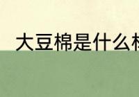 大豆棉是什么材质 大豆棉是啥材质