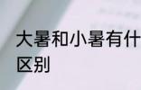 大暑和小暑有什么区别 大暑和小暑的区别