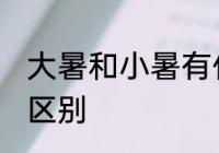 大暑和小暑有什么区别 大暑和小暑的区别