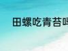 田螺吃青苔吗 田螺是不是吃青苔