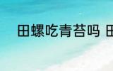 田螺吃青苔吗 田螺是不是吃青苔