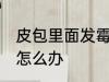 皮包里面发霉了怎么处理 皮包发霉了怎么办