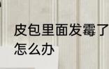 皮包里面发霉了怎么处理 皮包发霉了怎么办