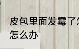 皮包里面发霉了怎么处理 皮包发霉了怎么办