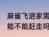 麻雀飞进家需要赶走吗 家中飞来麻雀能不能赶走吗